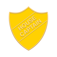 Vintage House Captain Pin, Form Captain Badge, Yellow Enamel, Brass, School  Badge, School Uniform, Shield Pin, British 